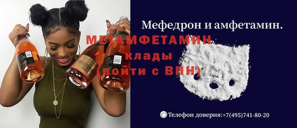 индика Алексин