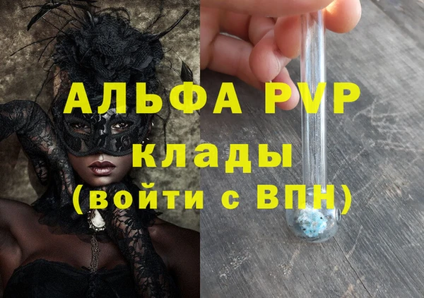 индика Алексин