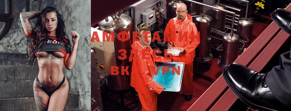 индика Алексин