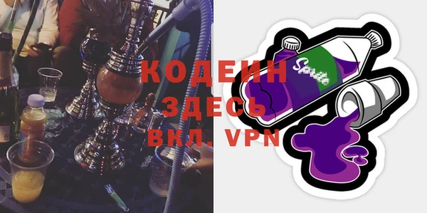 индика Алексин