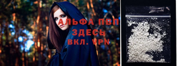 индика Алексин