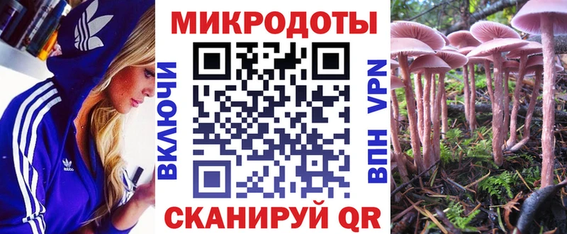 Псилоцибиновые грибы Cubensis  ОМГ ОМГ онион  Чишмы 